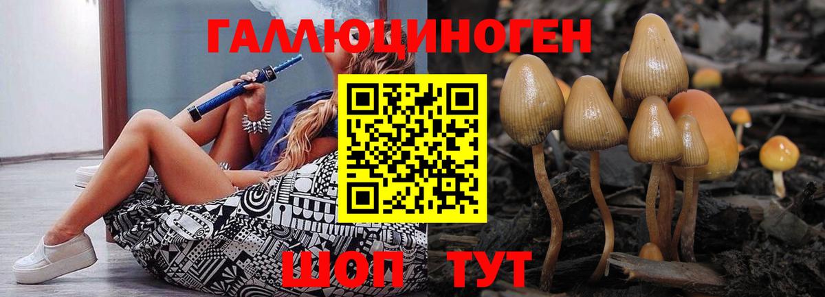 Воронеж  Галлюциногенные грибы GOLDEN TEACHER  Вход с VPN 